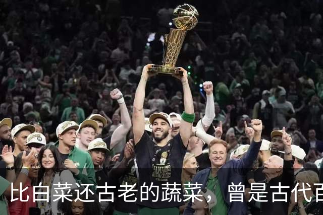 比白菜还古老的蔬菜，曾是古代百菜之王，如今却沦为边缘菜，年轻人多吃不习惯